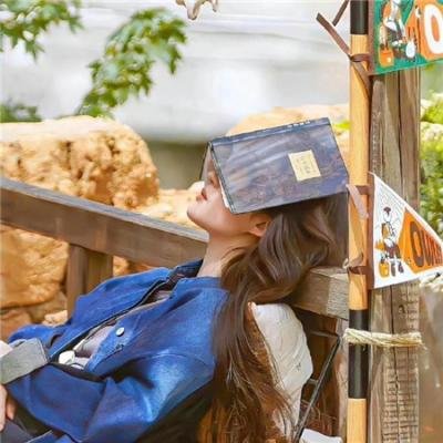 王子学院之绝对经济师